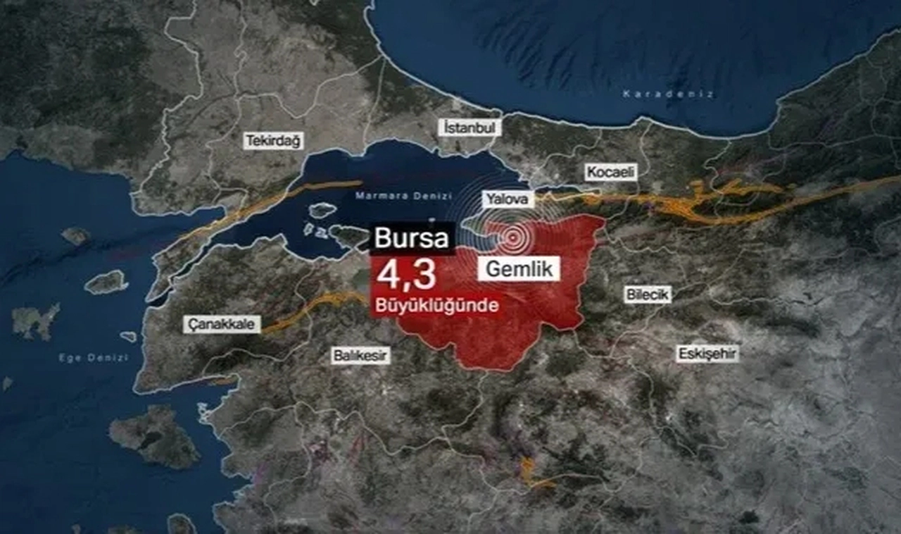 AFAD'dan İzmir, Manisa ve Bilecik'teki yangınlara ilişkin yeni açıklama!