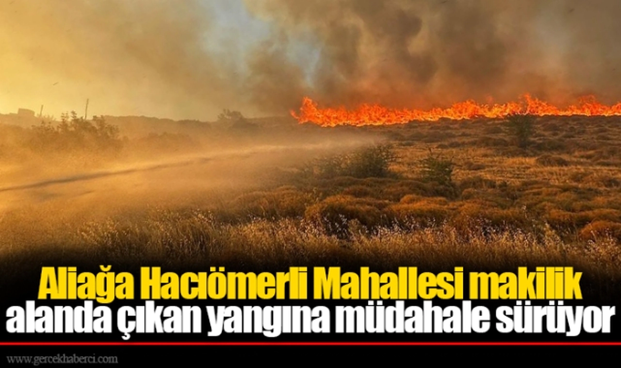 Aliağa Hacıömerli Mahallesi makilik alanda çıkan yangına müdahale sürüyor