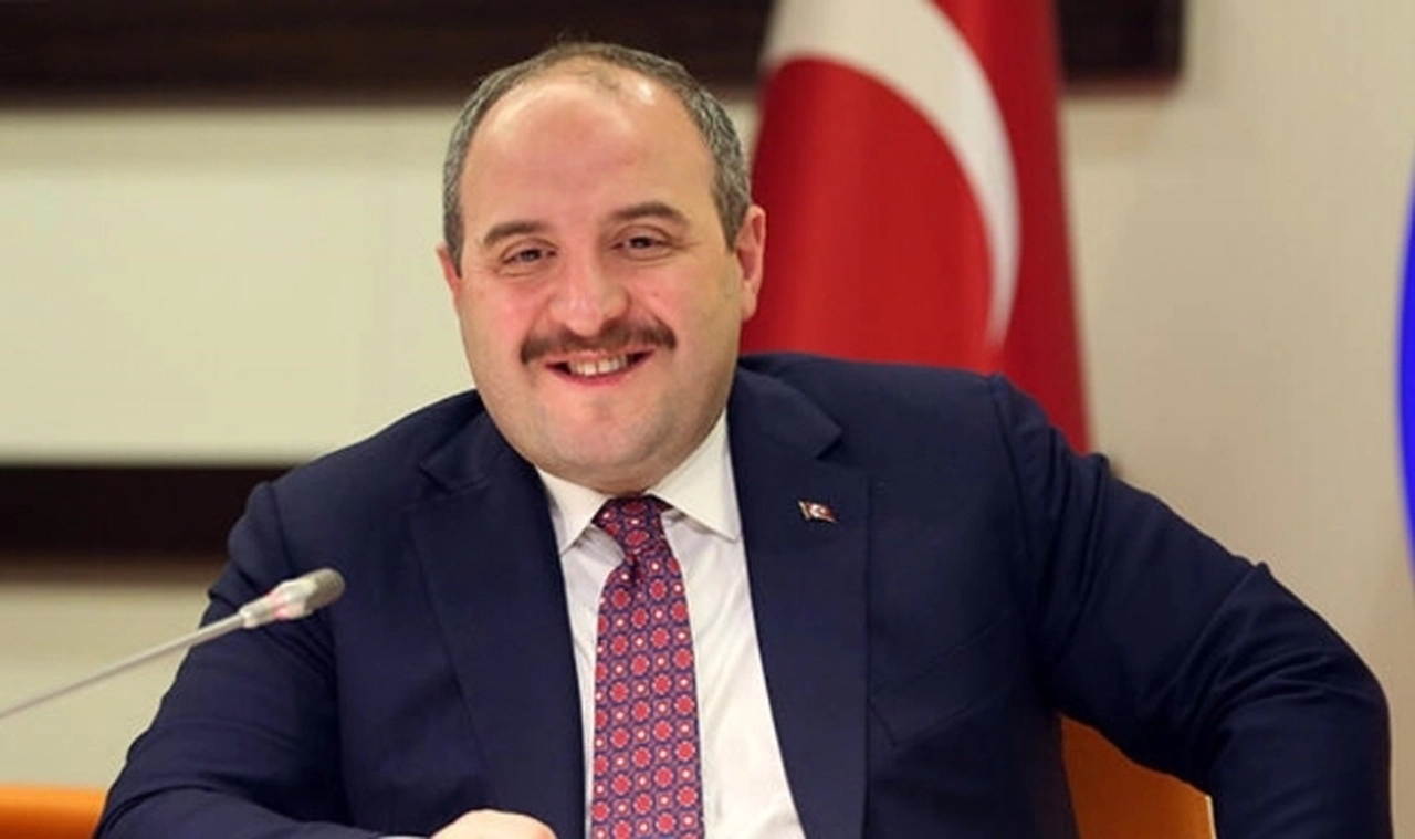 Bakan Varank zeytinlikleri değil muhalefeti düşünüyor: 'Siz yaptırmayız' dedikçe, yapacağız