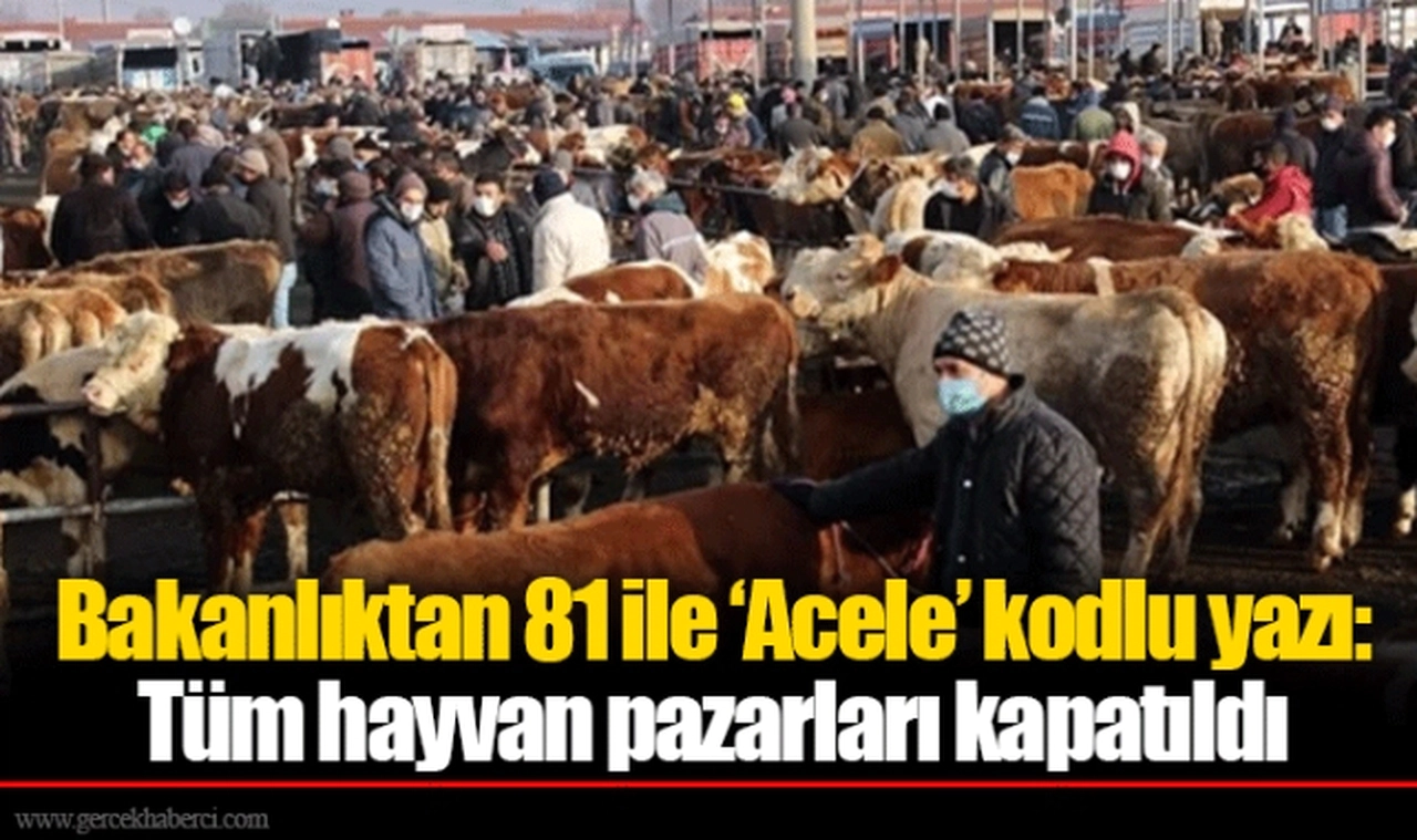Bakanlıktan 81 ile ‘Acele’ kodlu yazı: Tüm hayvan pazarları kapatıldı