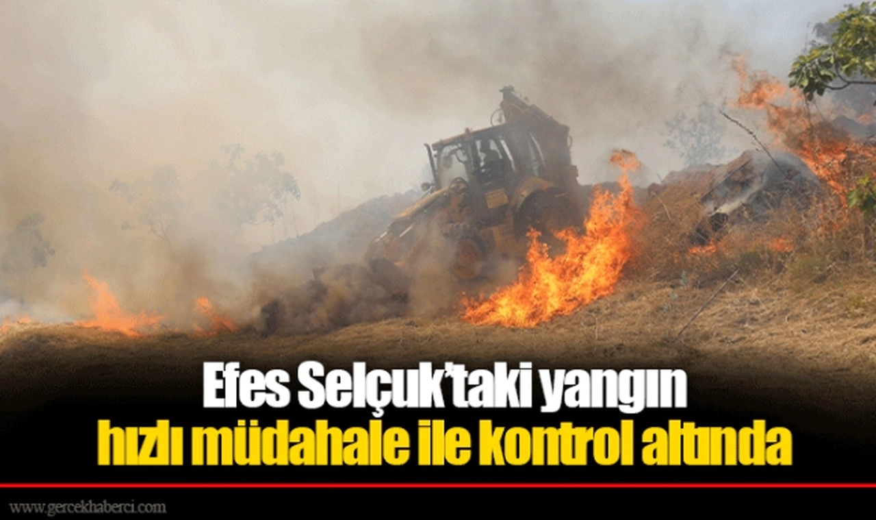 Efes Selçuk’taki yangın hızlı müdahale ile kontrol altında