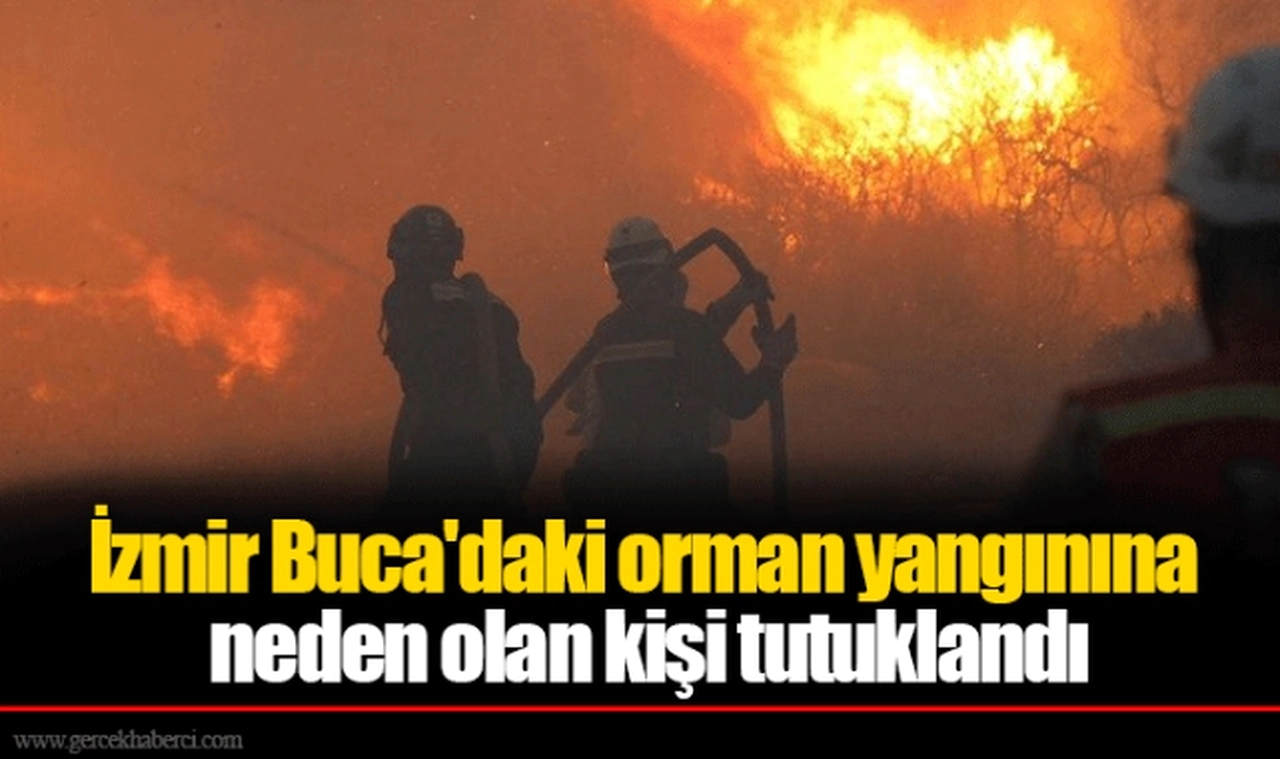 İzmir Buca'daki orman yangınına neden olan kişi tutuklandı