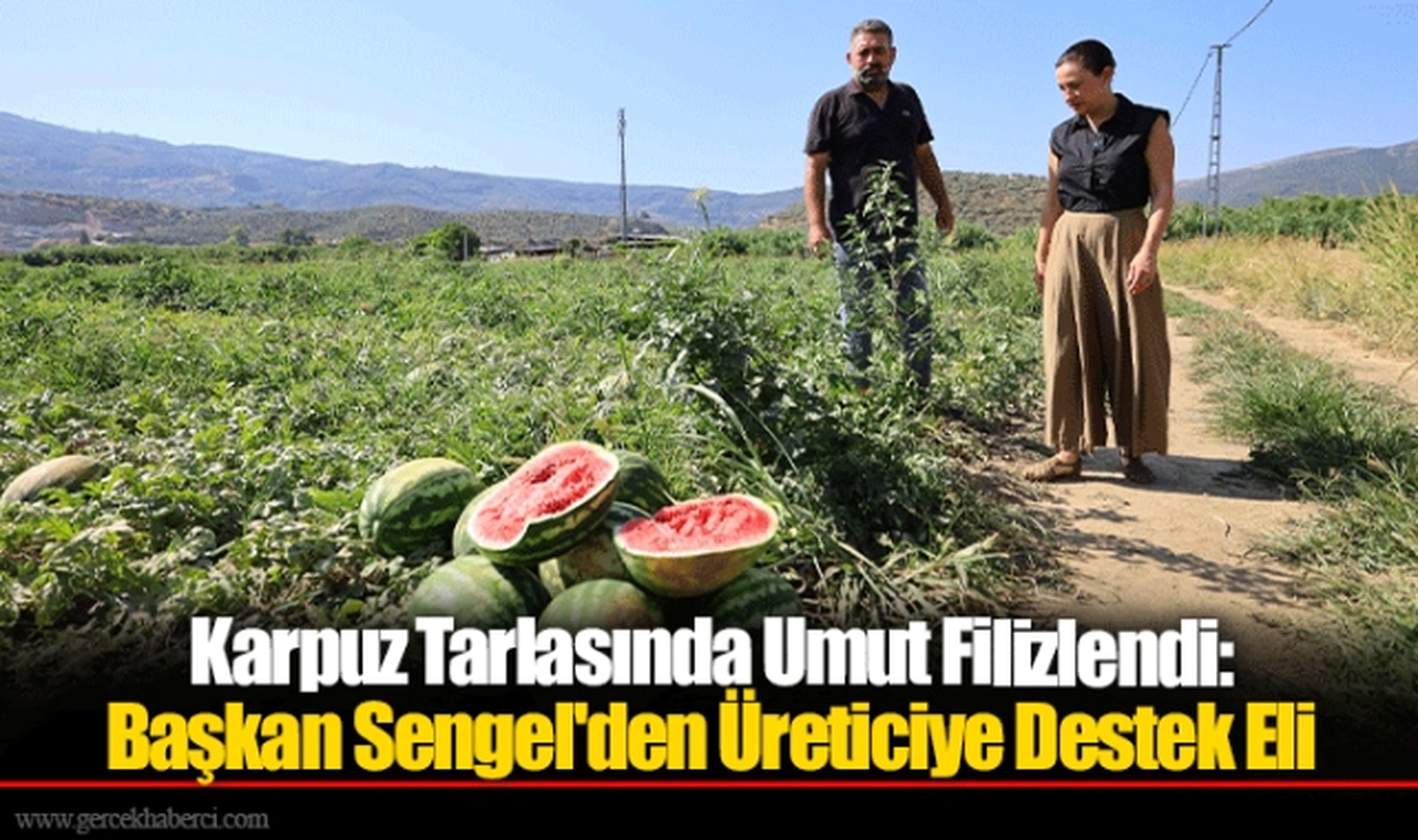 Karpuz Tarlasında Umut Filizlendi: Başkan Sengel'den Üreticiye Destek Eli