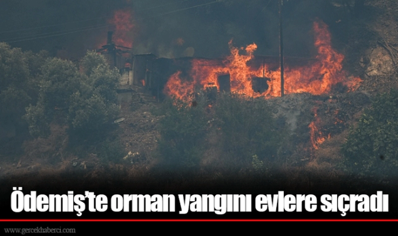Ödemiş'te orman yangını evlere sıçradı