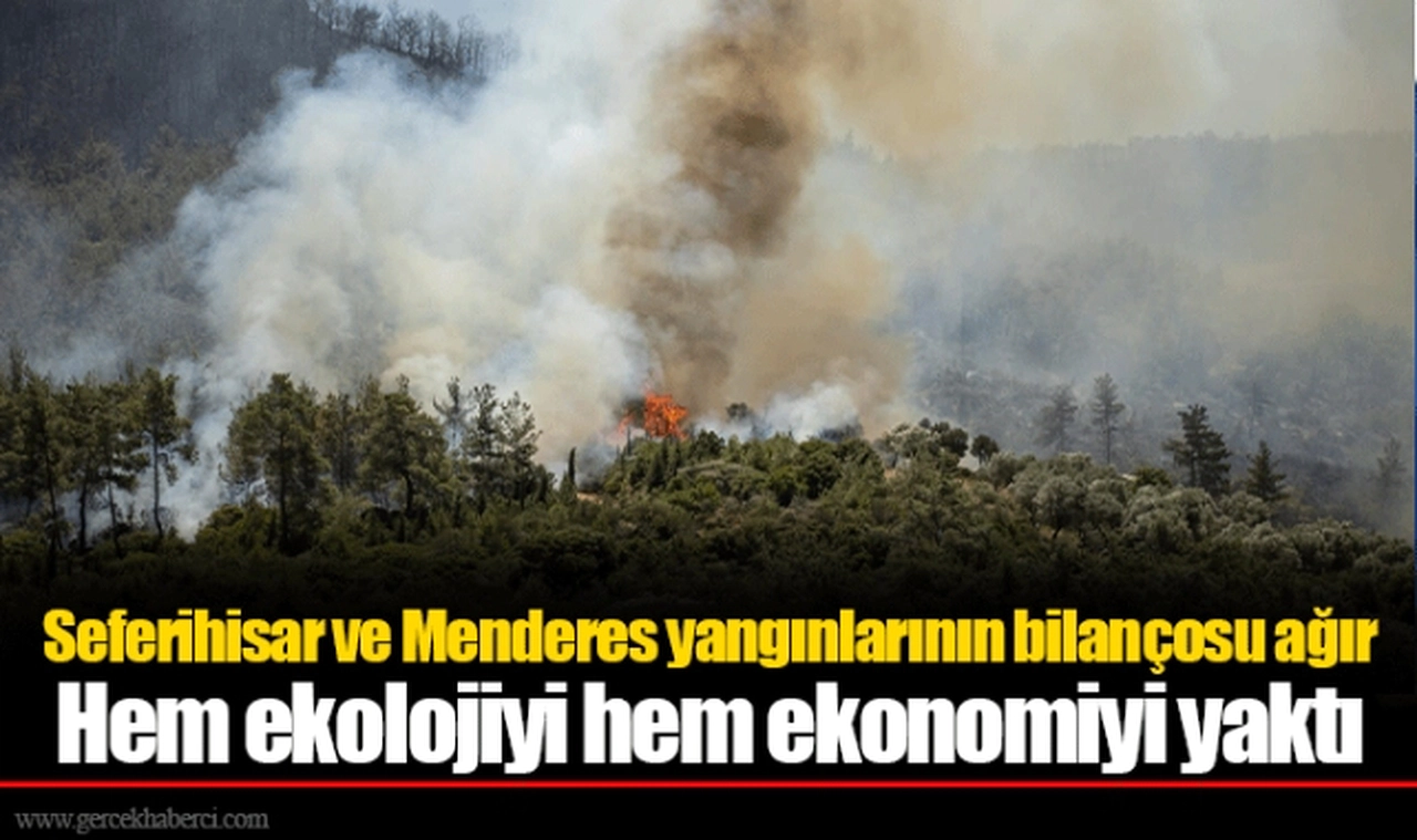 Seferihisar ve Menderes yangınlarının bilançosu ağır