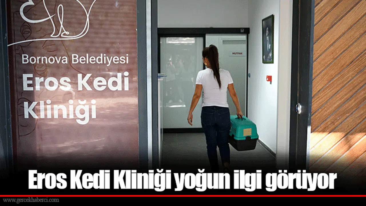 Eros Kedi Kliniği yoğun ilgi görüyor