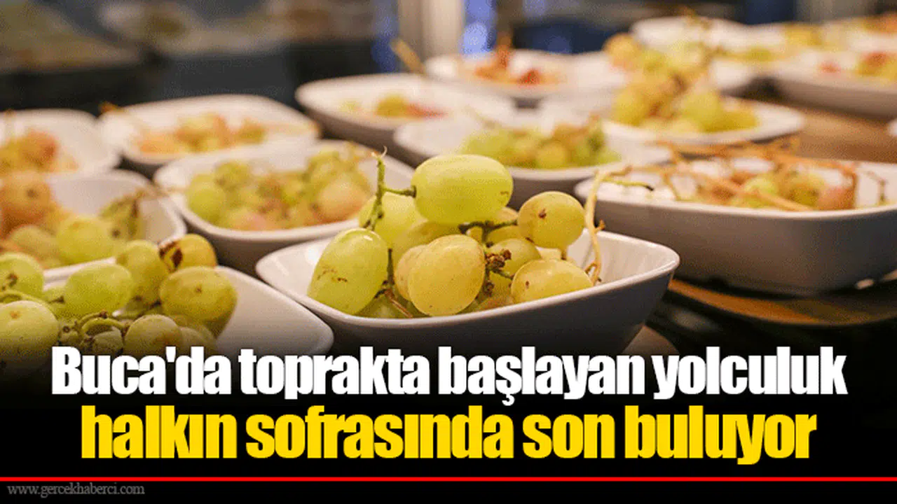 Buca'da toprakta başlayan yolculuk halkın sofrasında son buluyor
