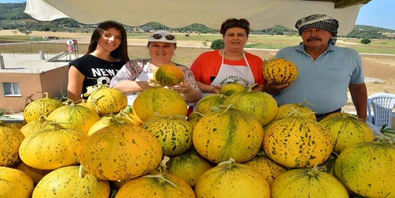 MİS KOKULU FESTİVAL