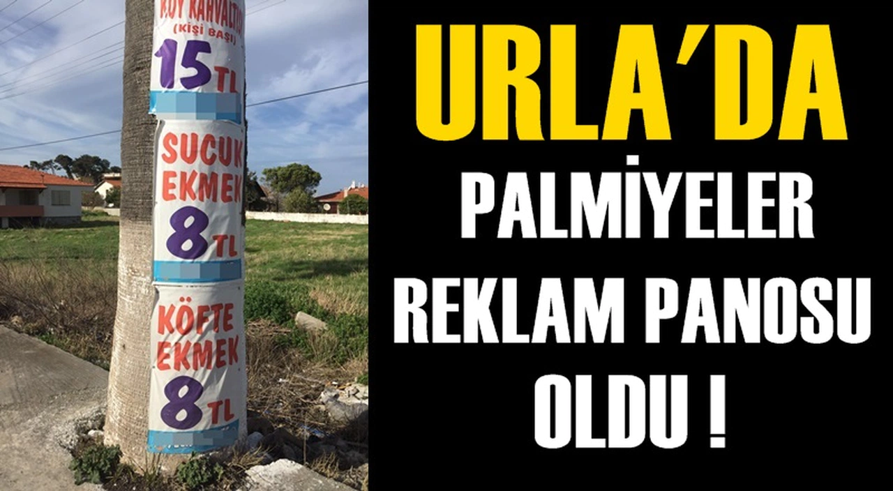URLA'DA PALMİYELER, REKLAM PANOSU OLDU