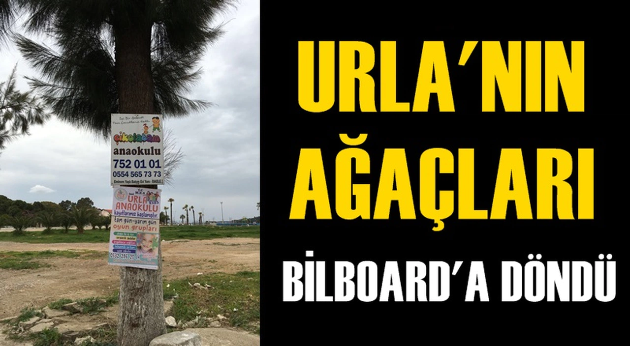URLA'NIN AĞAÇLARI ''BİLBOARD''A DÖNDÜ
