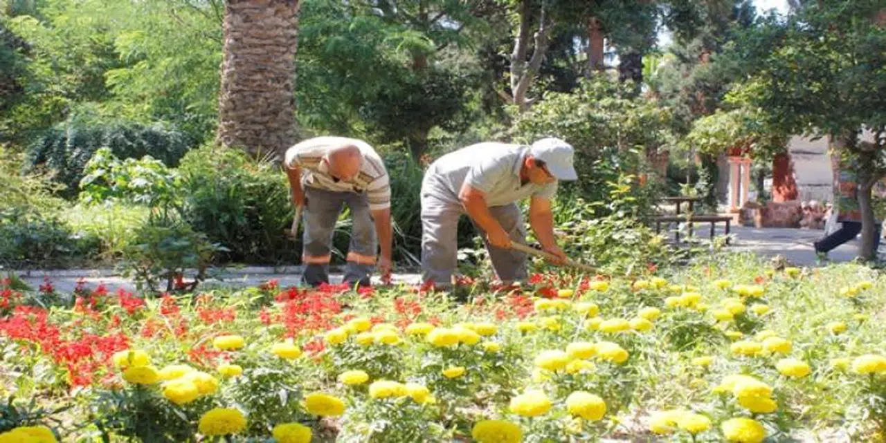 ÇANDARLI’NIN YEŞİLİ KORUMA ALTINDA