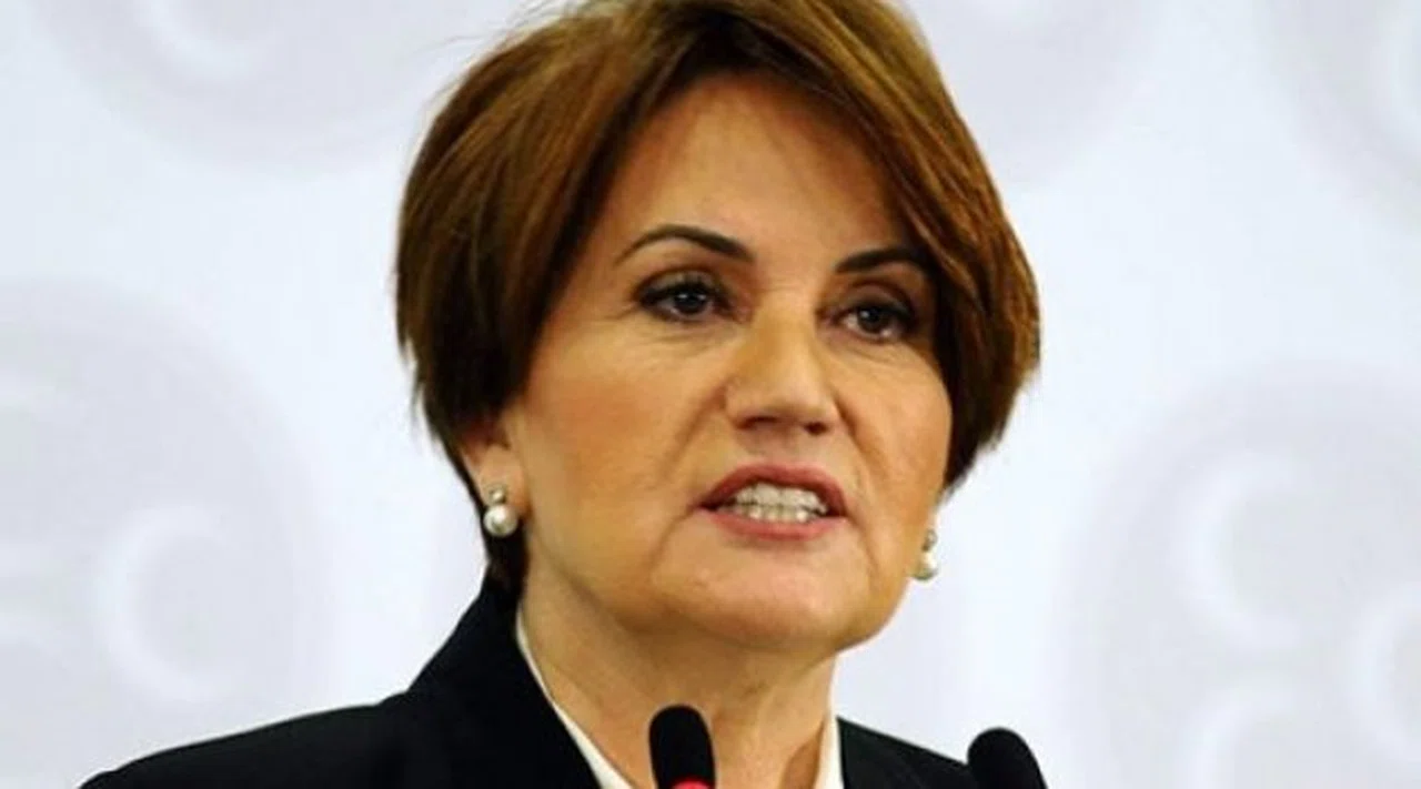 Akşener Yeni Parti Kuruyor