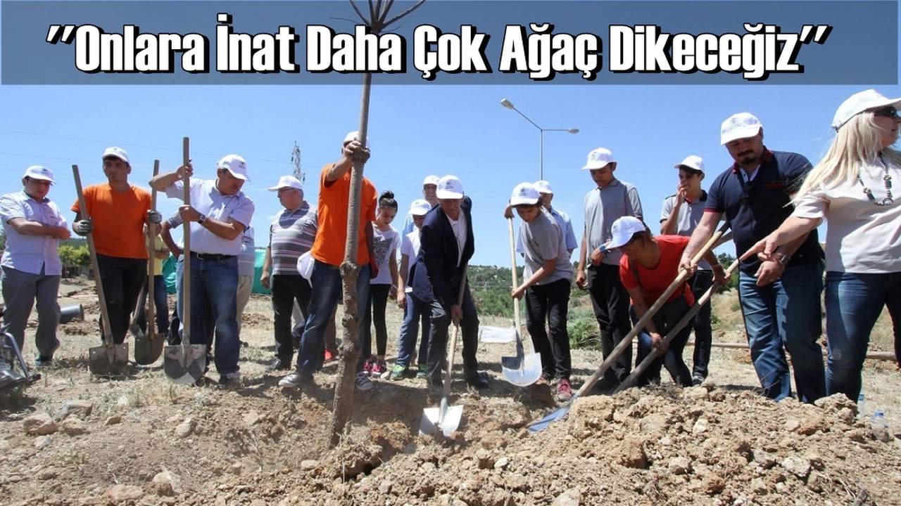 Başkan Şenol: Yeşilimize, geleceğimize  hep birlikte sahip çıkalım