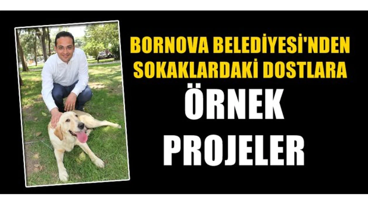 Bornova’da sokaktaki dostlar için örnek projeler