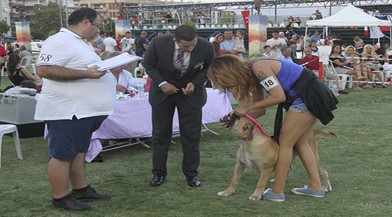 Gaziemir’de Köpek Irkları Yarışması