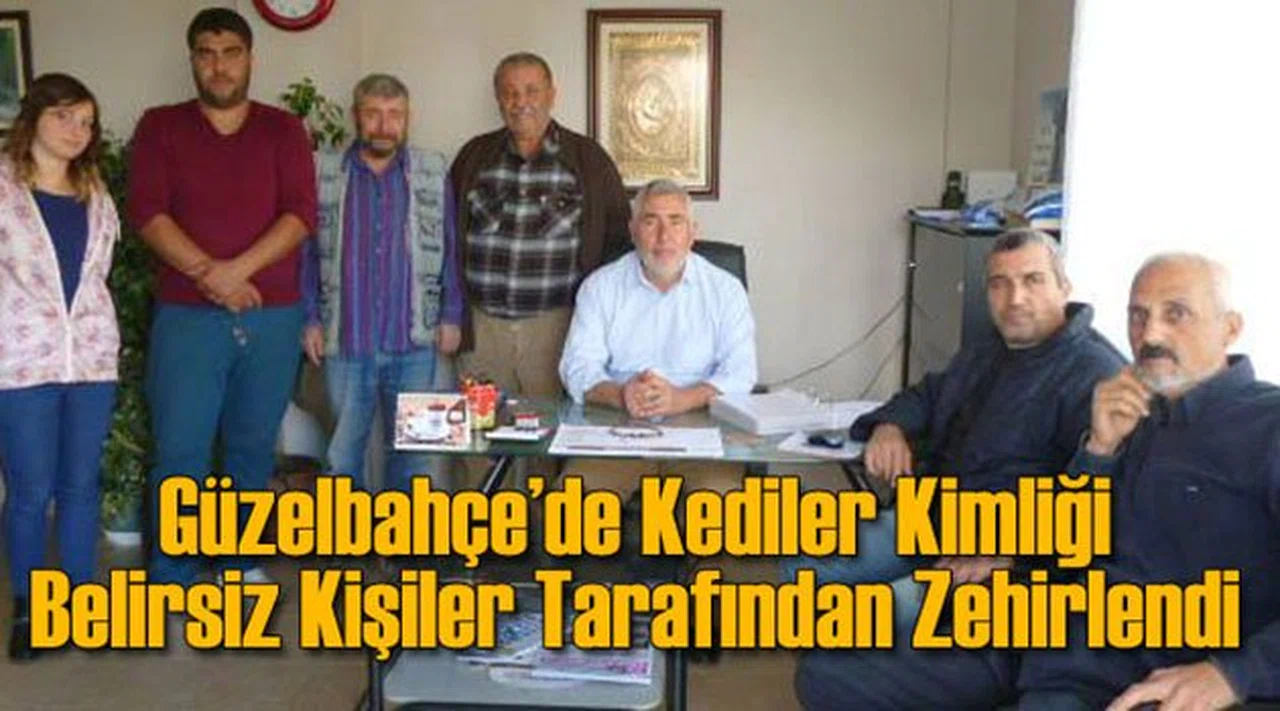 Güzelbahçe'de Kediler Zehirleniyor
