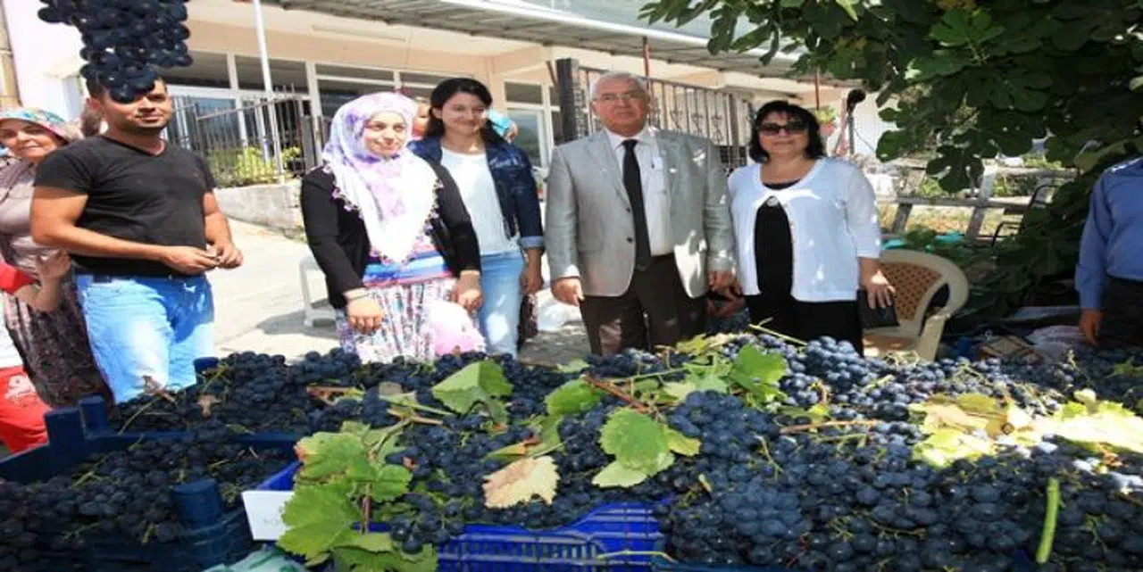 KARABAĞLAR EYLÜL’DE ŞENLENECEK