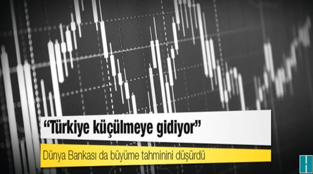 Morgan Stanley: Türkiye 2009'dan beri ilk kez küçülebilir