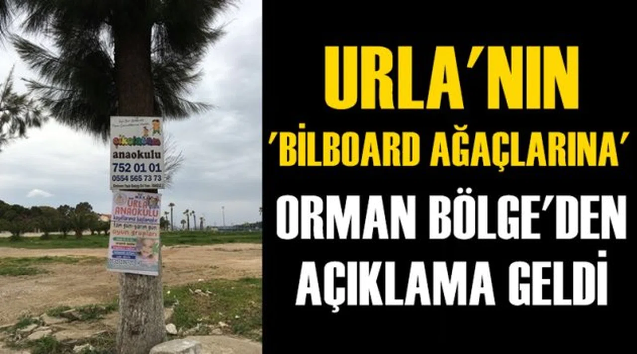 Urla'daki ''Bilboard ağaçlara'' Orman Bölge'den açıklama