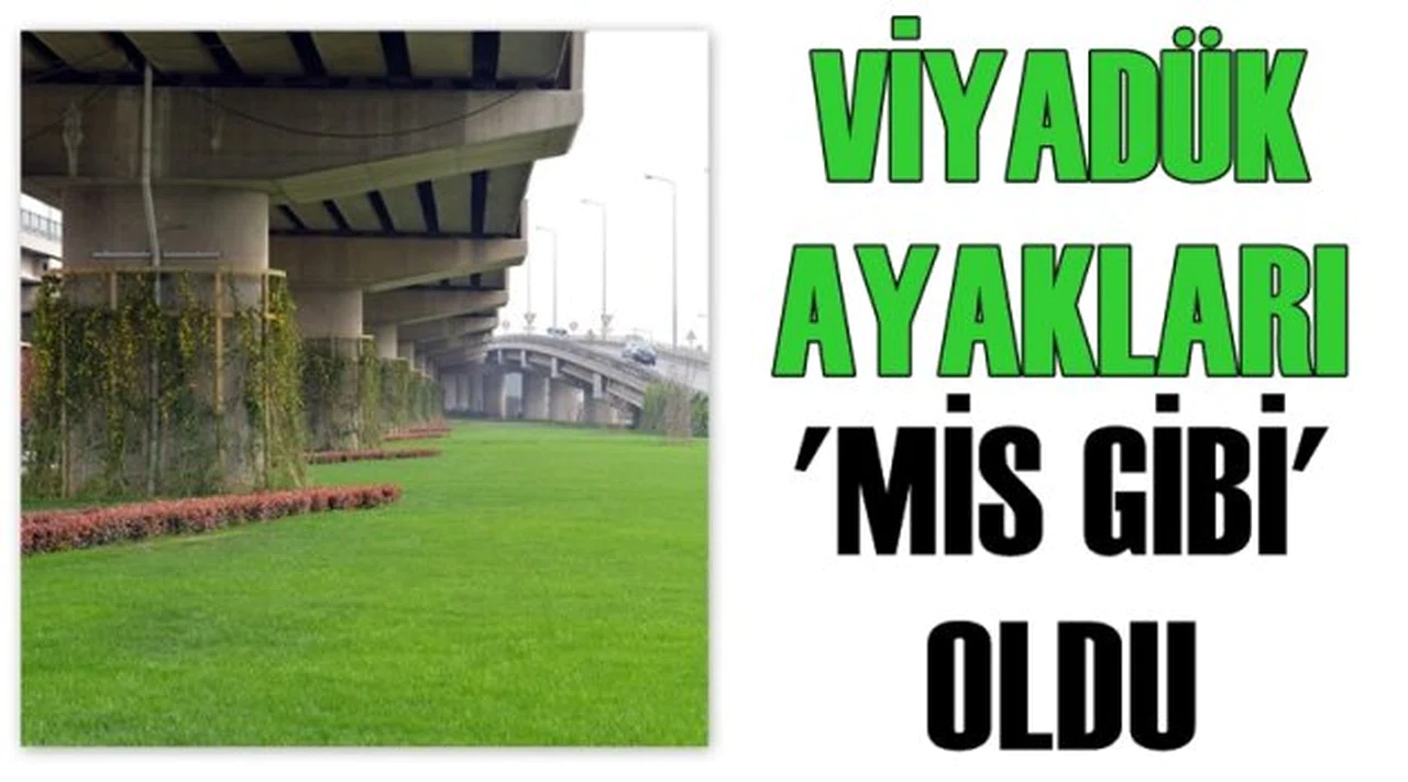 Viyadük ayakları 'mis gibi' oldu