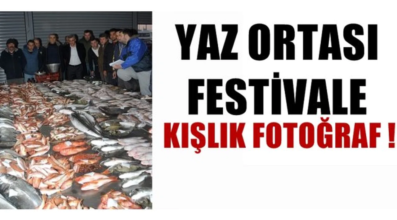 Yaz ortası festivale kışlık fotoğraf !
