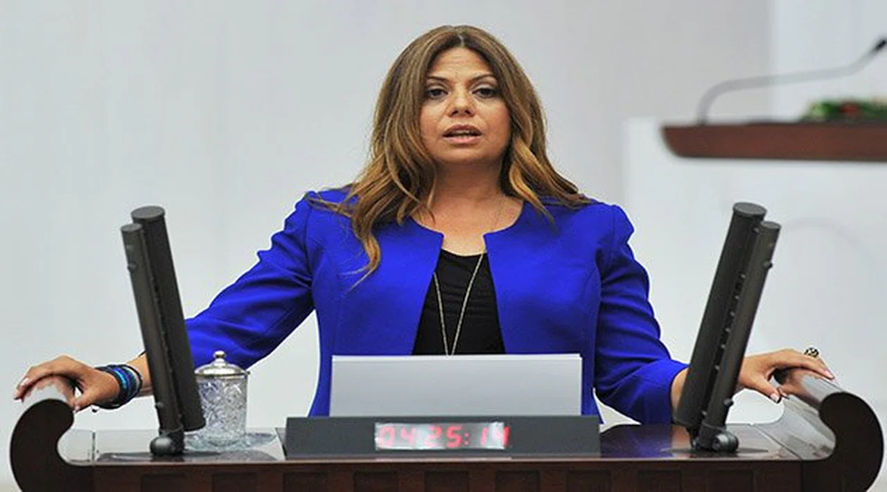 Zeynep Akatlı: İnsanlık Onuruna Sahip Çıkacağız