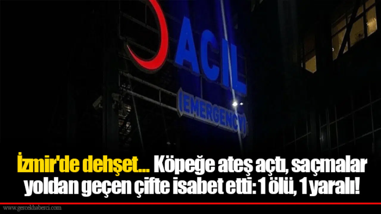İzmir'de dehşet... Köpeğe ateş açtı, saçmalar yoldan geçen çifte isabet etti: 1 ölü, 1 yaralı!