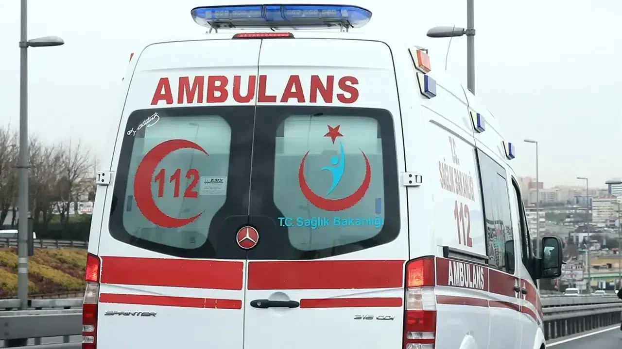 İzmir'de feci yangın! Bir kadın evinde 30 kedisiyle birlikte hayatını kaybetti