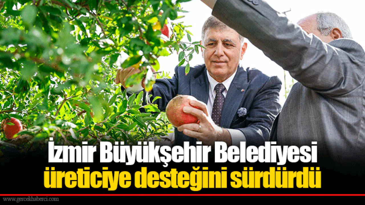 İzmir Büyükşehir Belediyesi üreticiye desteğini sürdürdü