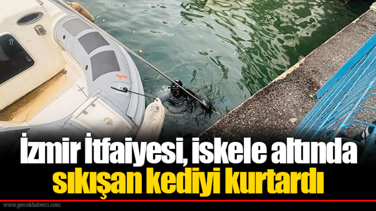 İzmir İtfaiyesi, iskele altında sıkışan kediyi kurtardı
