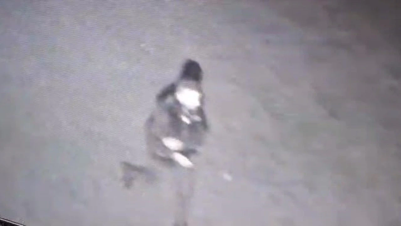 Polis kılığına girip 3 milyonluk vurgun yaptılar