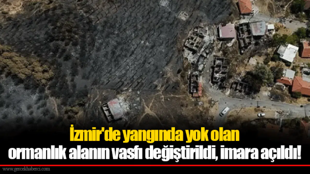 İzmir'de yangında yok olan ormanlık alanın vasfı değiştirildi, imara açıldı!