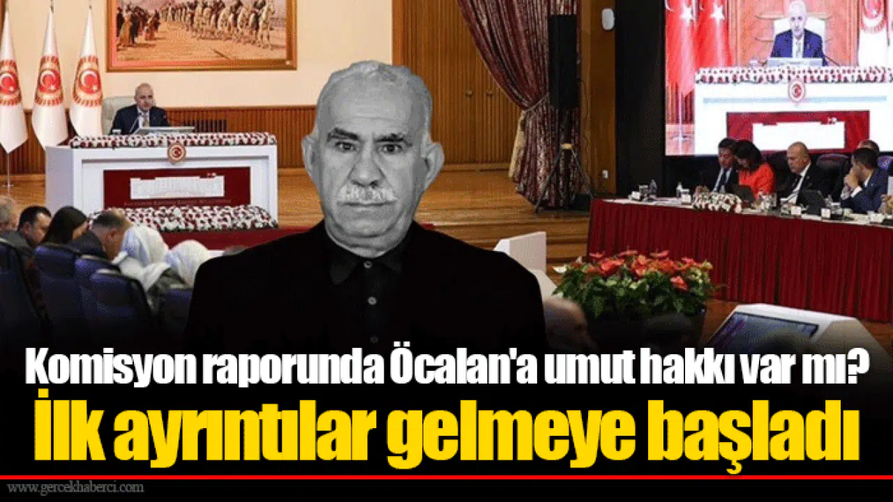 Komisyon raporunda Öcalan'a umut hakkı var mı? İlk ayrıntılar gelmeye başladı