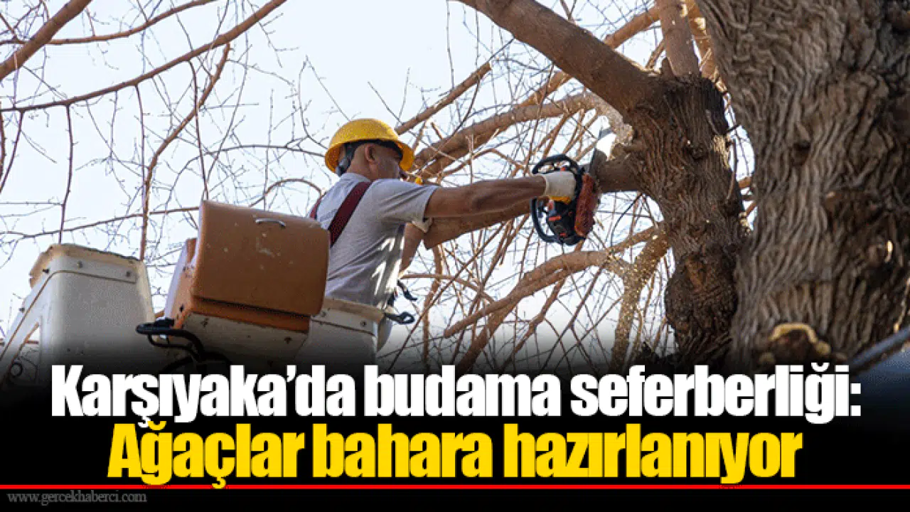 Karşıyaka’da budama seferberliği: Ağaçlar bahara hazırlanıyor