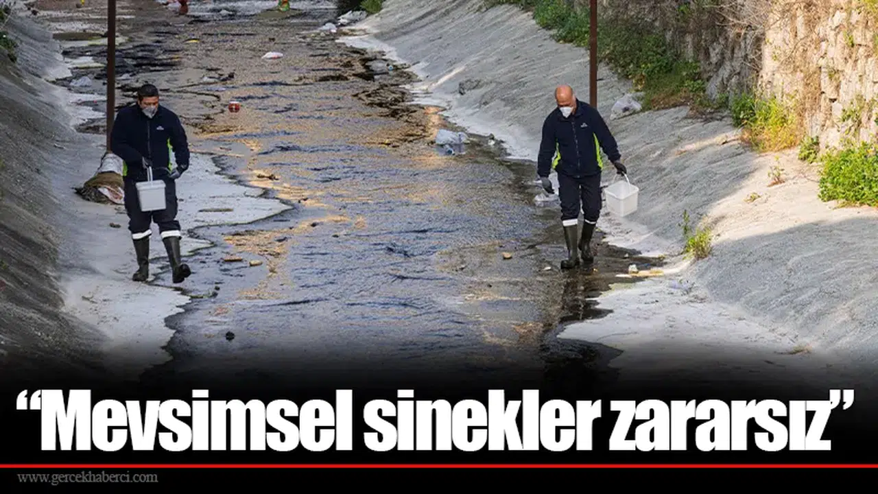 “Mevsimsel sinekler zararsız”