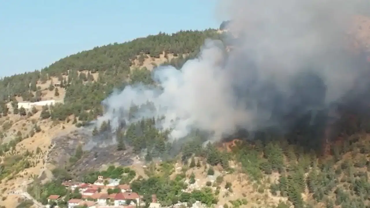 Orman Yangınlarıyla Mücadelede Hava ve Kara Filosu Güçlendirildi