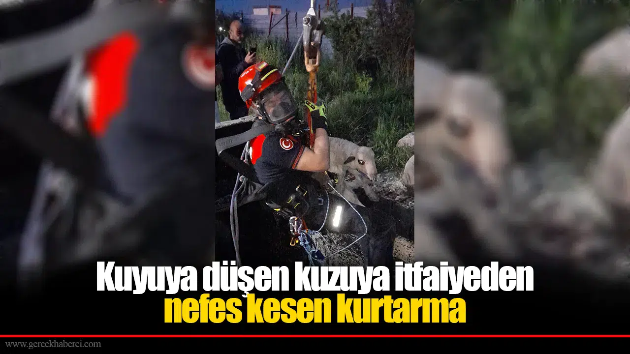 Kuyuya düşen kuzuya itfaiyeden nefes kesen kurtarma