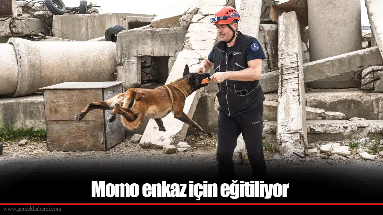 Momo enkaz için eğitiliyor