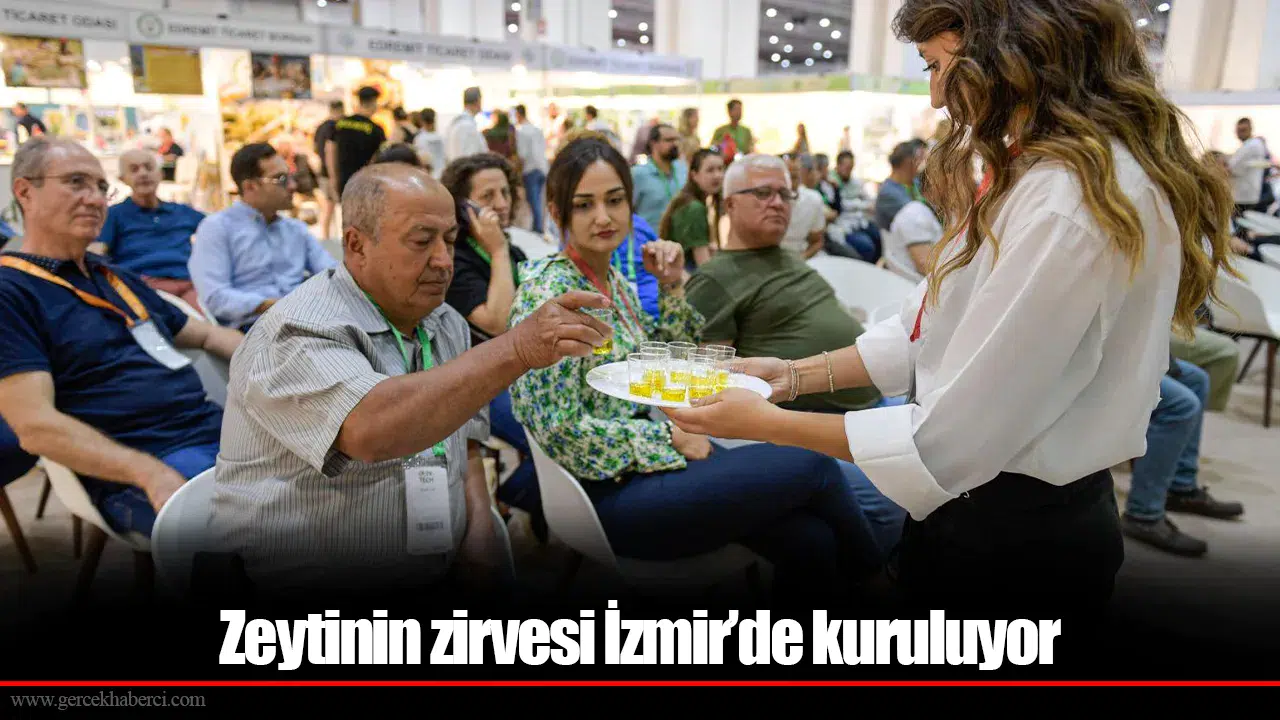 Zeytinin zirvesi İzmir’de kuruluyor
