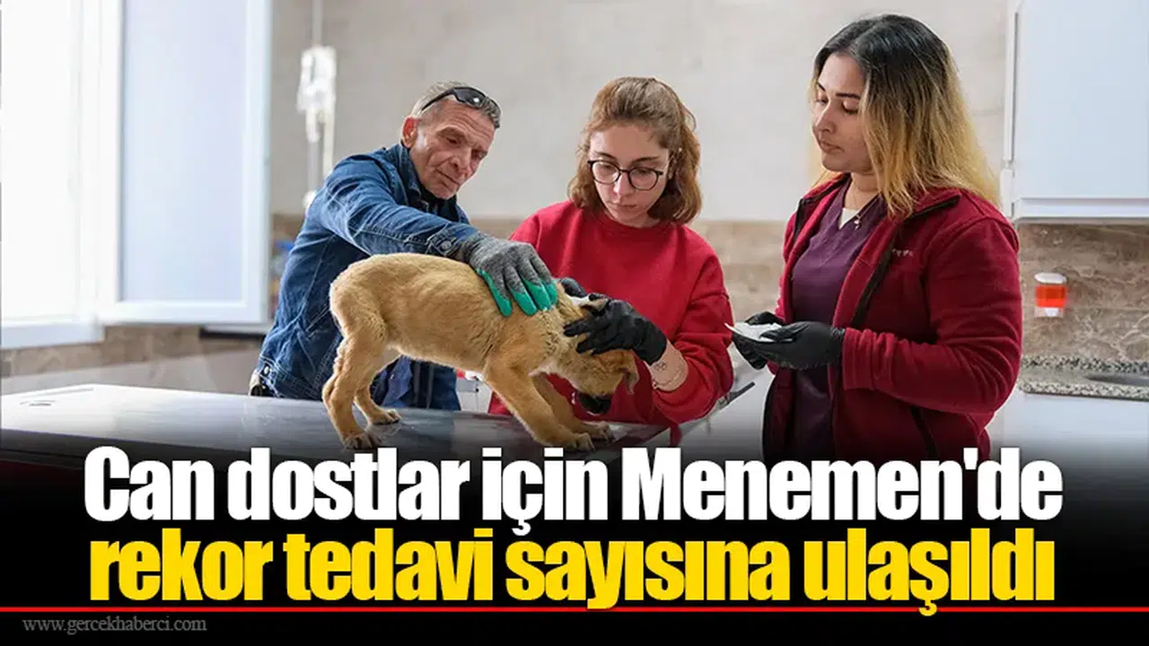 Can dostlar için Menemen'de rekor tedavi sayısına ulaşıldı