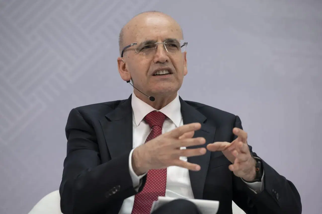 Şimşek: "Program sadece para politikasından ibaret değildir"