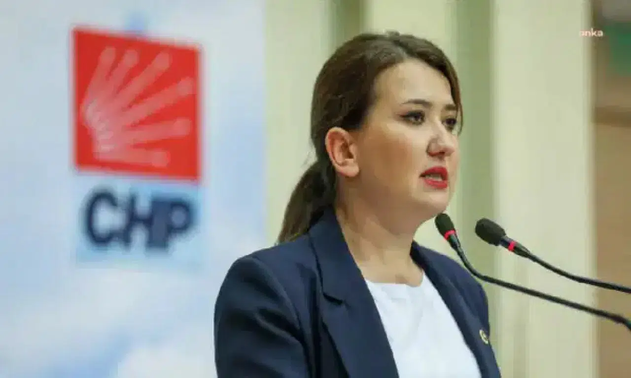 Gökçe Gökçen'den AK Parti'ye 'Ara Seçim' ve Anayasa Değişikliği Sorusu