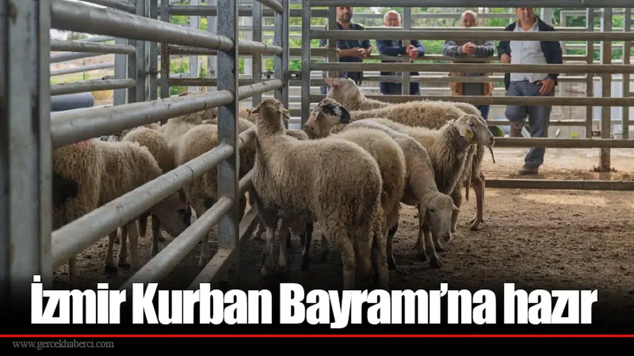 İzmir Kurban Bayramı’na hazır