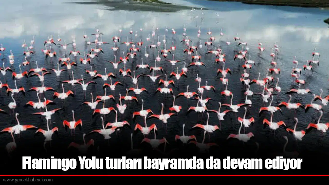 Flamingo Yolu turları bayramda da devam ediyor