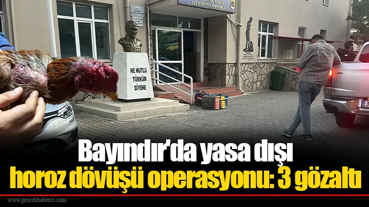 Bayındır'da yasa dışı horoz dövüşü operasyonu: 3 gözaltı