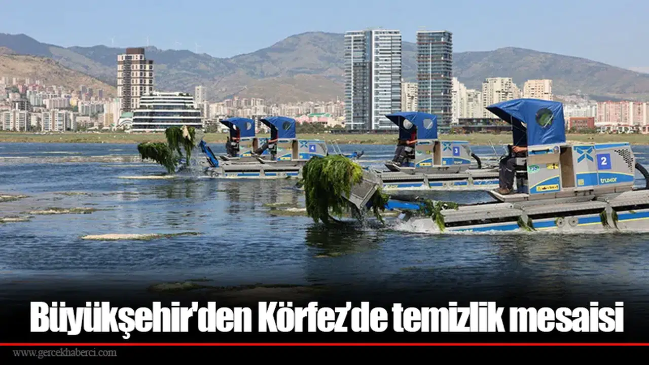 Büyükşehir'den Körfez’de temizlik mesaisi