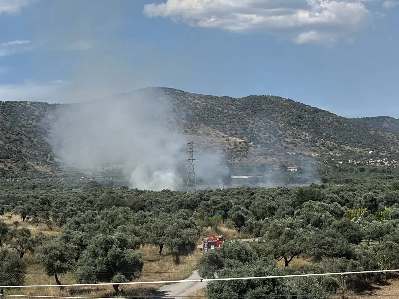 Bayındır'da zeytinlik alanda yangın