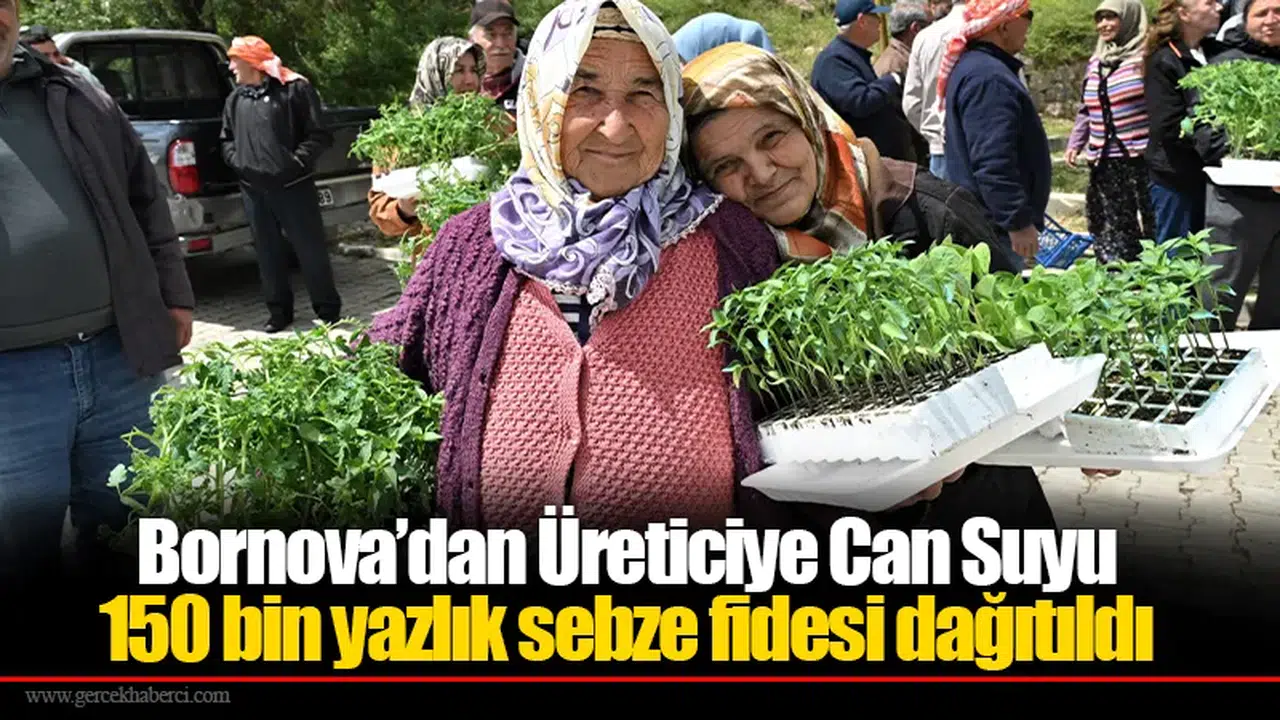 Bornova’dan Üreticiye Can Suyu: 150 bin yazlık sebze fidesi dağıtıldı