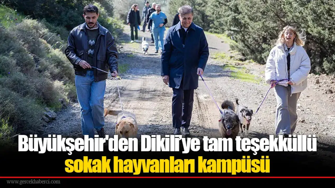 Büyükşehir'den Dikili’ye tam teşekküllü sokak hayvanları kampüsü