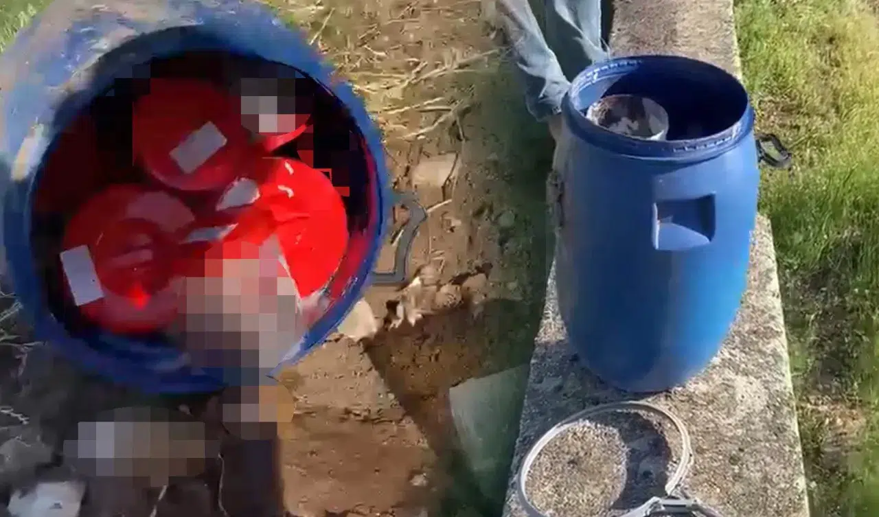 Mezarlığa atılan ceninler bir şehri ayağa kaldırdı